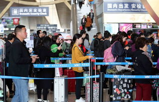 清明返程小高峰 昆明长水机场代办票务服务助力旅客顺畅出行