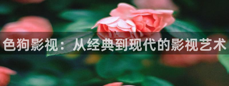 六安红叶影城今日电影