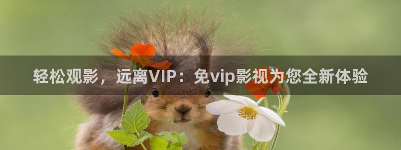 红叶电影今日影讯