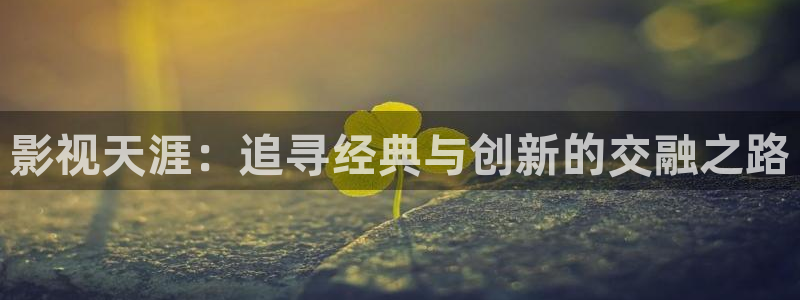 六安红叶影城电影