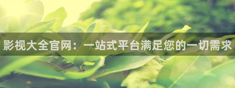 红叶影院app