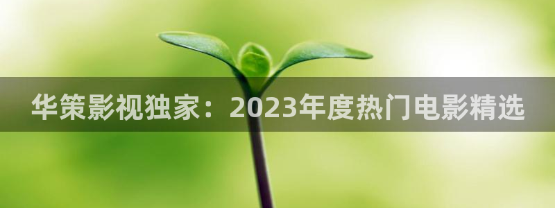 红叶影城今日影讯