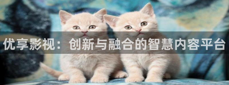 红叶影视官网