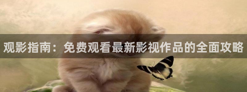 红叶影视app官方下载