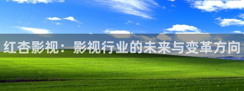 电影红叶