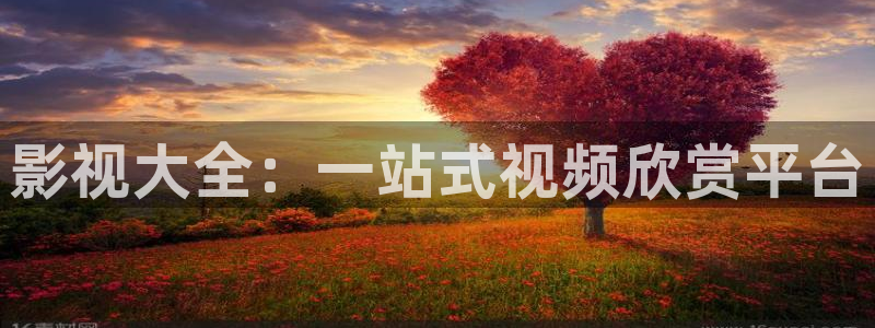 六安红叶国际影城