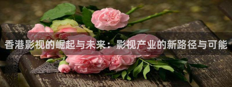 红叶影院下载