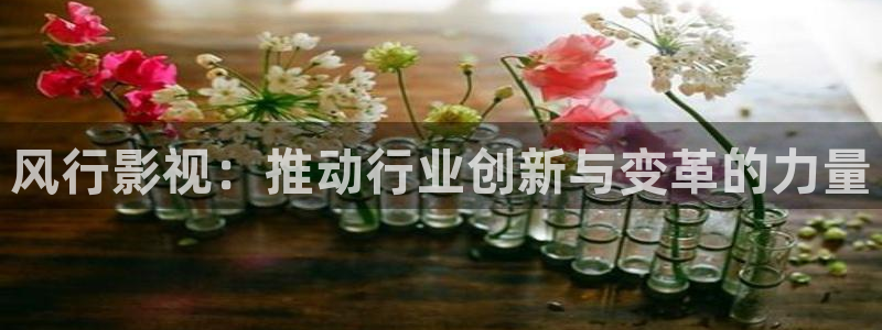 红叶影视